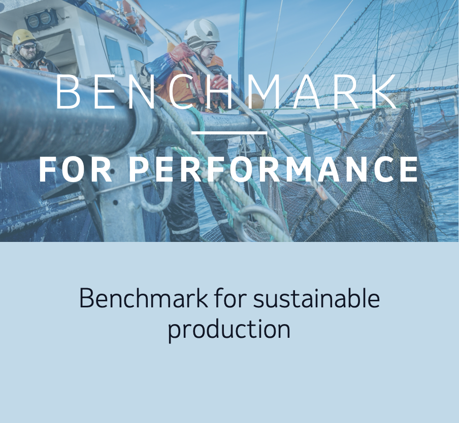 benchmark for performance 